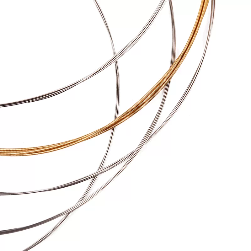 Banjo-strings-AJ05-800x800-2