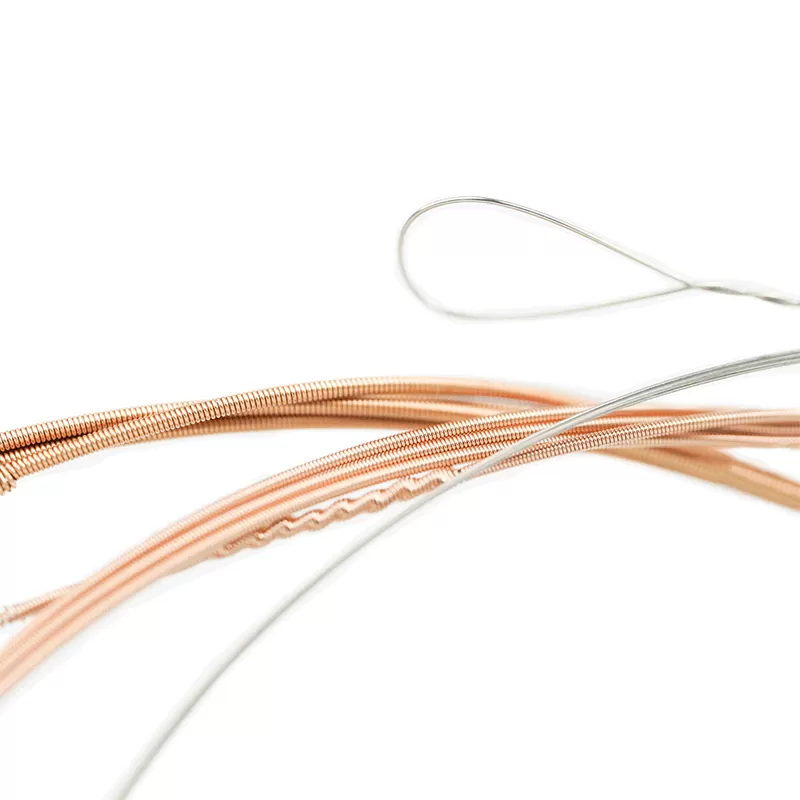 Banjo-strings-AJ06-800x800-2