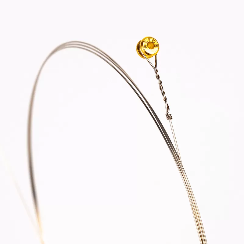 Alice-acoustic-guitar-string--AW437-800x800-4